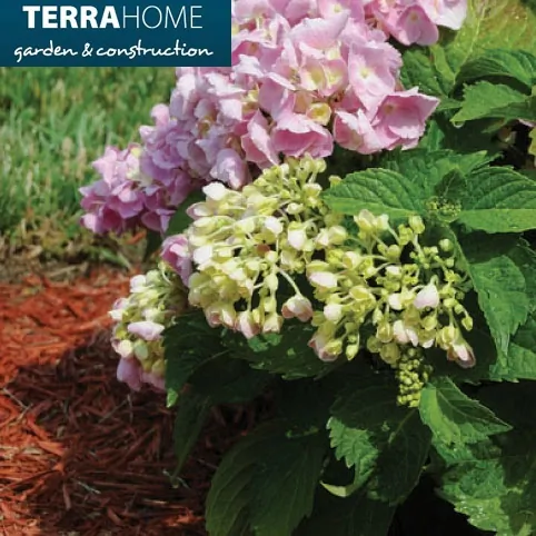Mreže za zasenu TERRA HOME - Terra Home - 2