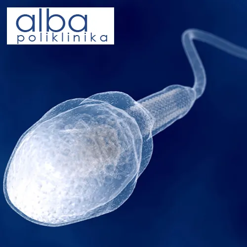 Spermogram POLIKLINIKA ALBA - Poliklinika Alba - 2