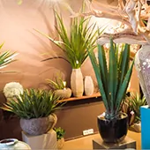 gardenia-decoration-biljke-i-dekoracija-vestacke-biljke
