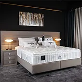 premium-hotel-duseci-i-kreveti-by-richfield-kreveti
