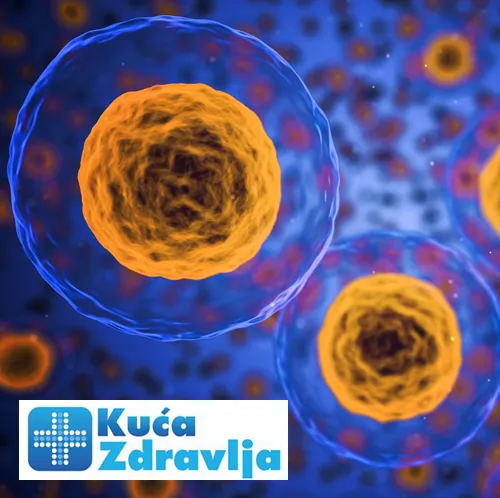 Mikrobiologija KUĆA ZDRAVLJA - Poliklinika Kuća zdravlja - 1