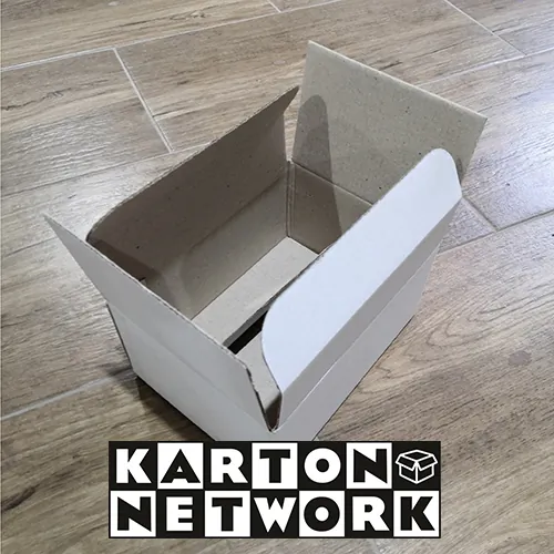 Kutija za flašu 100ml - Karton Network - 1