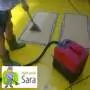 Pranje tepiha SERVIS SARA - Tepih servis Sara - 1