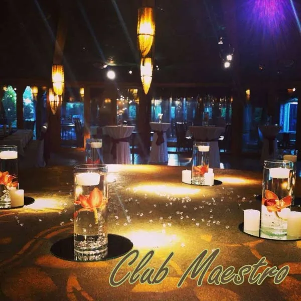 Venčanja CLUB MAESTRO - Club Maestro - 4
