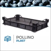 PLASTIČNE GAJBE ZA BOROVNICE - Pollino Plast - 1
