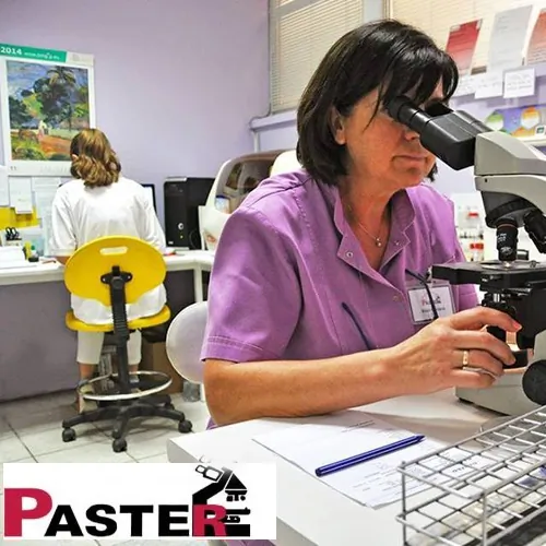 Spermogram PASTER - Zavod za laboratorijsku dijagnostiku PASTER - 1