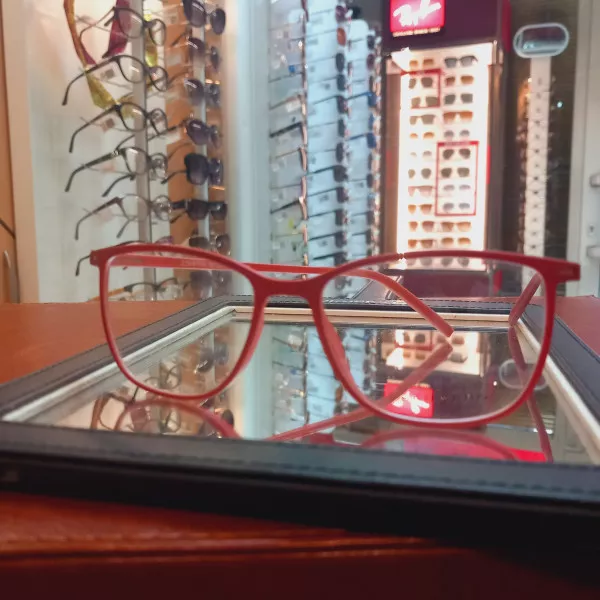 ZENZEROŽenske naočare za vid - Očna kuća Pržulj - 1