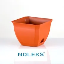 Saksije NOLEKS - Noleks - 1