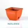 Saksije NOLEKS - Noleks - 1