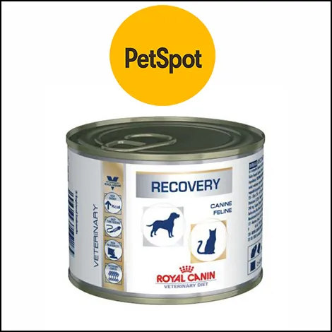 HRANA ZA PSE  Royal Canin Recovery Canine  Feline 195g - PetSpot - 1