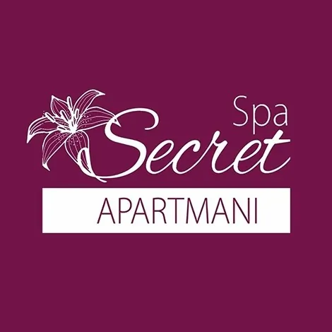 APARTMAN 11 - Apartmani Spa Secret - 2