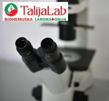 Spermogram TALIJA LAB - Biohemijska laboratorija Talija Lab - 3