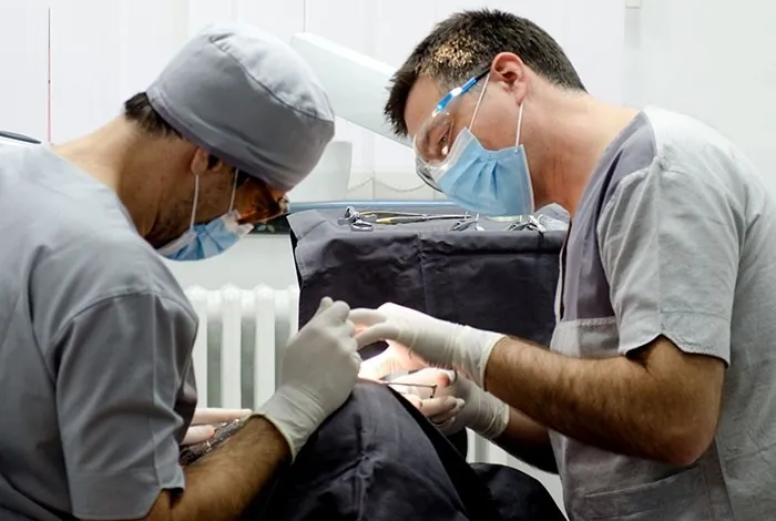 Dental Centar Bobić - DENTALNI TURIZAM - 1