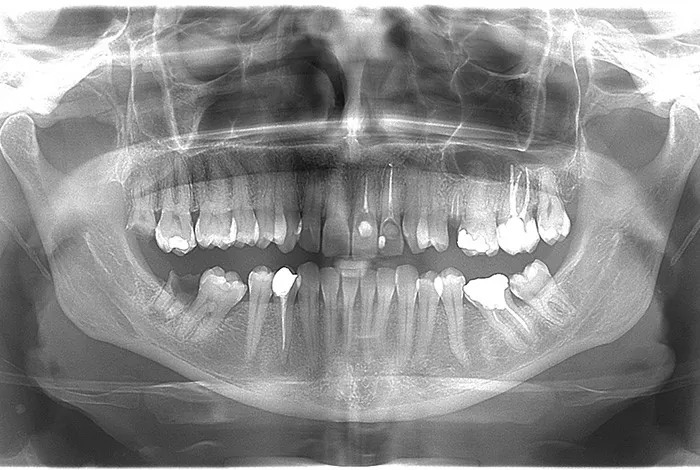 Dental centar Luka Orto - 12