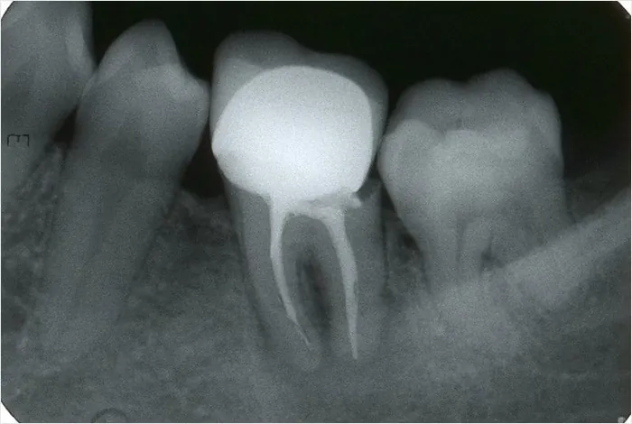 Dental centar Luka Orto - 13