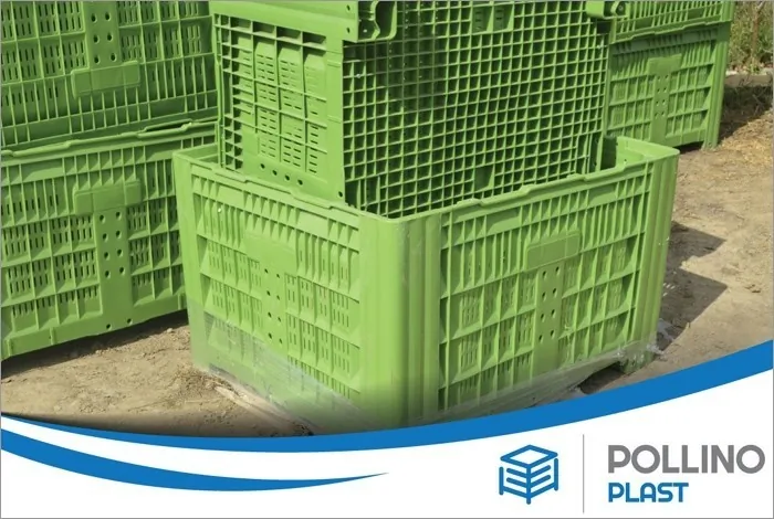 Pollino Plast - BOX PALETE POLLINO PLAST - 1