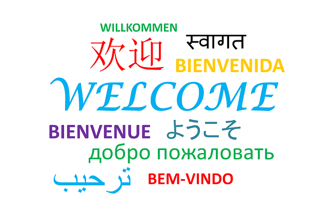Blog ilustracija: Šta sve nude škole stranih jezika