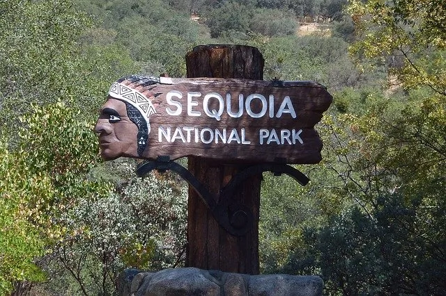 Blog ilustracija: Sekvoja nacionalni park (Sequoia National Park, California)
