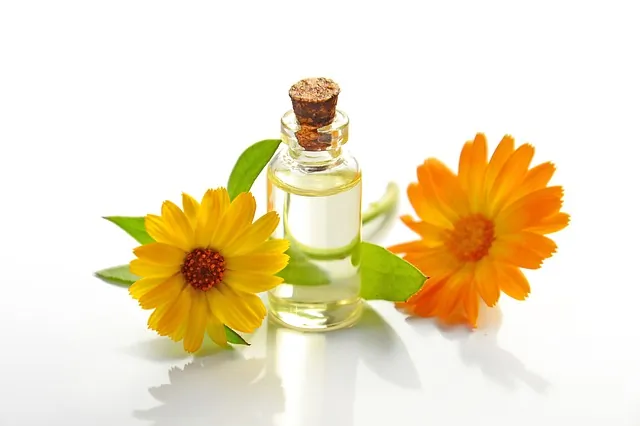 Blog ilustracija: Upotreba etarskih ulja u kozmetičkim salonima