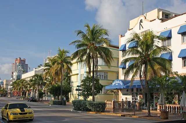 Blog ilustracija: Majami – najlepši grad na Floridi