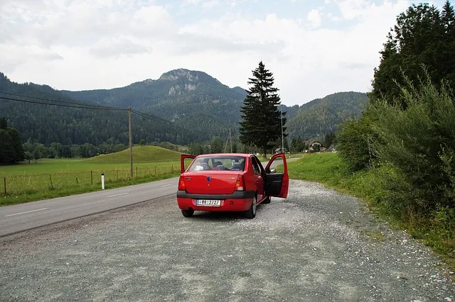 Blog ilustracija: Auto delovi Dacia