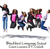 blackbird-lenguage-school-skole-stranih-jezika