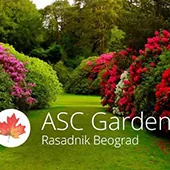 rasadnik-asc-garden-ukrasno-siblje