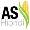 AS Hibridi logo