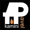 Pavel Kamini logo