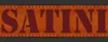 Satini leather logo