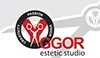 Studio Yggor logo