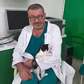 terzic-vet-veterinarska-ambulanta-265924