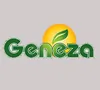 Geneza logo