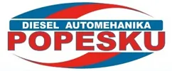Servis Popesku logo