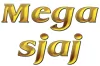 Tepih servis Mega Sjaj logo