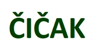 Igraonica Čičak logo