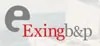Exing metal - PP vrata logo