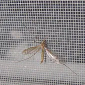 inzenjering-bau-komarnici