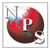 Nippon Pieces Services - S logo