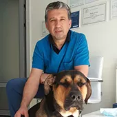 veterinarska-ambulanta-ivavet-veterinarska-ambulanta-786138